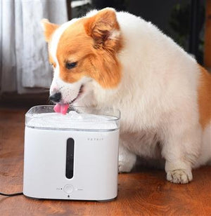 Pet Stop Store PETKIT Eversweet Dog & Cat Smart Water Filter