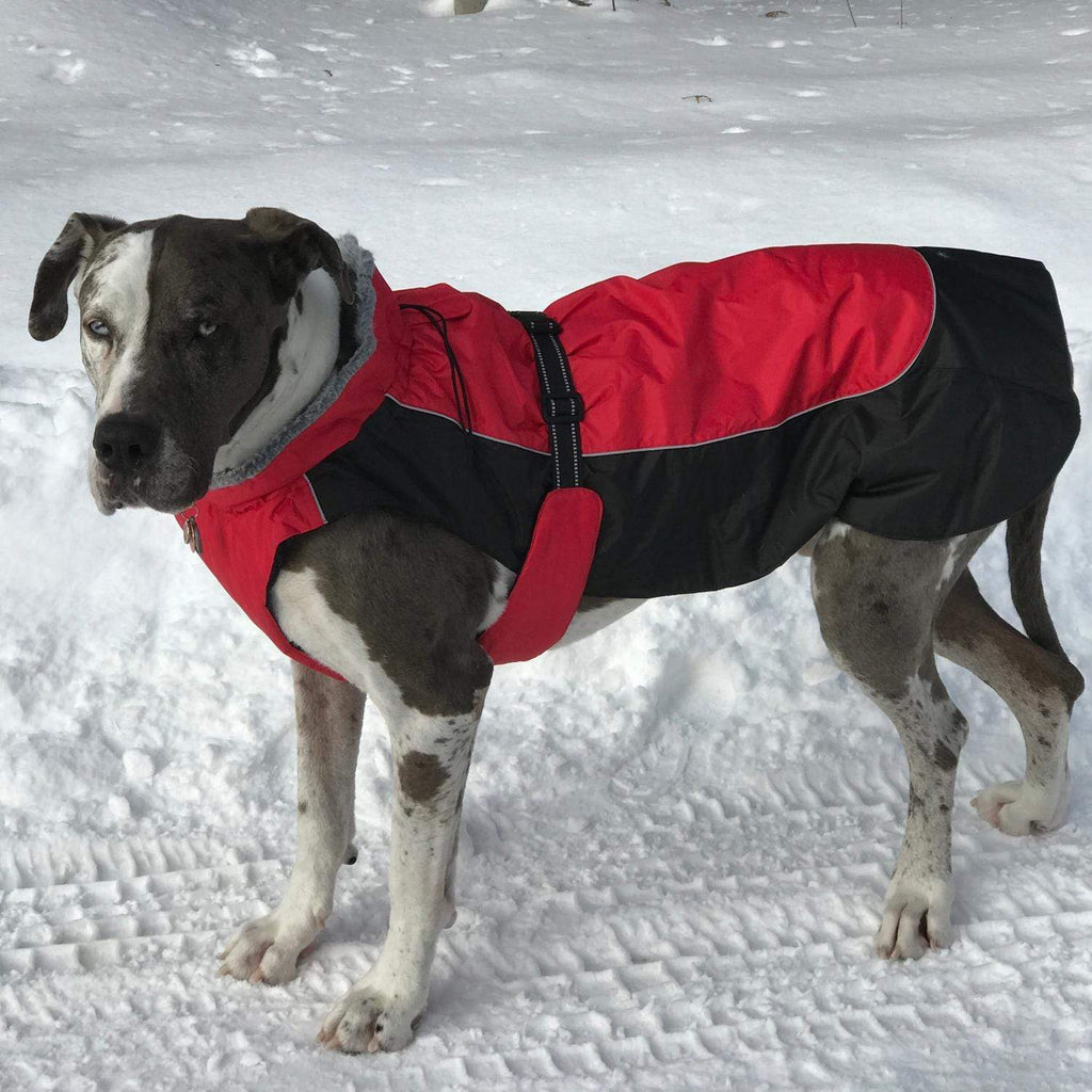 Pet Stop Store Red & Black Solid Alpine All Weather Waterproof Dog Coat