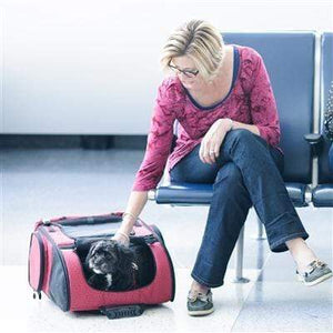 Pet Stop Store Red Roller-Carrier for Dogs & Cats in Black, Red & Zebra