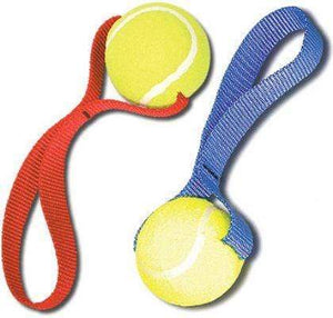 Pet Stop Store red Tennis Ball Dog Toy Avail Red & Blue