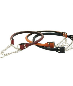 Pet Stop Store Rolled Leather Martingale Dog Collars at Pet Stop Store