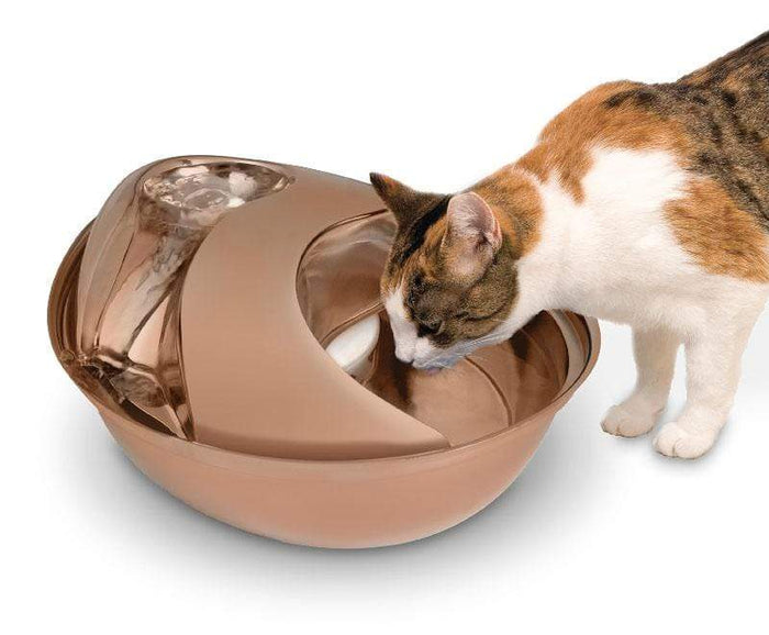 Rose Gold Stainless Steel Circulating Drinking Fountain for Pets