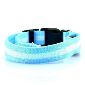 Pet Stop Store S (22-40cm) Blue Reflective LED Safety Dog Collars