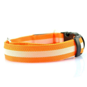 Pet Stop Store S (22-40cm)  Orange Reflective LED Safety Dog Collars
