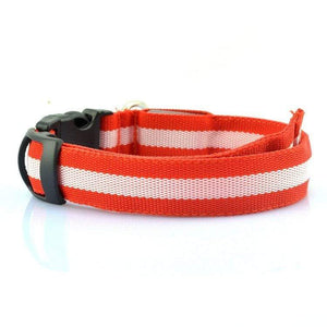 Pet Stop Store S (22-40cm)  Red Reflective LED Safety Dog Collars