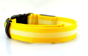 Pet Stop Store S (22-40cm) Yellow Reflective LED Safety Dog Collars
