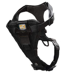 Pet Stop Store s Camera Mount Durable Dog Harness for Go Pro's & More