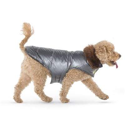Silver Aspen Puffer Dog Coat