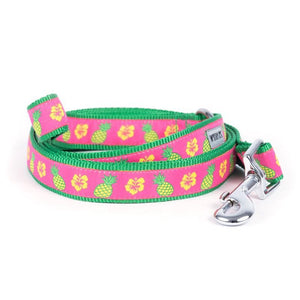 Pet Stop Store SM 5/8" Lead Cute & Playful Pineapples Dog Collar & Leash