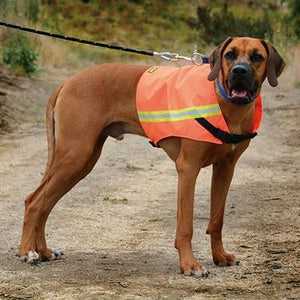 Pet Stop Store small See Me Reflective Orange K9 Safety Dog Vest