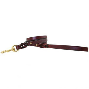 Pet Stop Store Strong & Modern Braided Leather Dog Leash