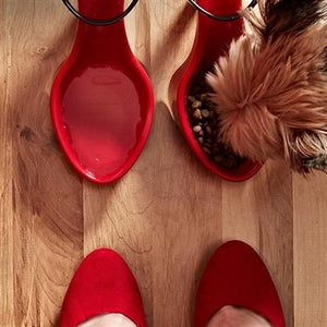 Pet Stop Store Stylish & Fun Red & Black Ladies Heel Pet Bowls