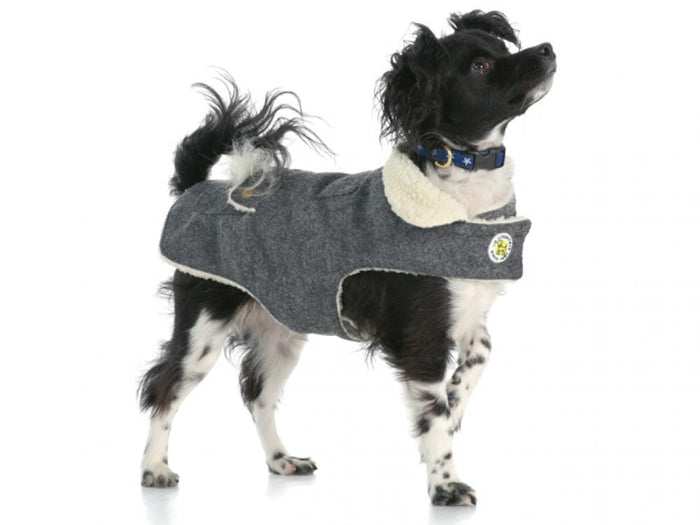 Stylish Wool Gray Dog Coat at Pet Stop Store