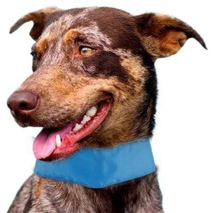 Pet Stop Store Summer-Cooling' Adjustable Cooling Dog Neck Wrap