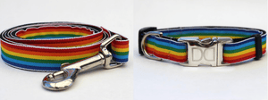 Pet Stop Store Teacup Collar: 5/8 in. x 6-10 in. & Teacup Leash: 5/8 in. x 4 ft. Walk Your Dog with Pride Rainbow Collar & Leash
