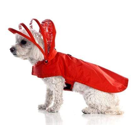 Modern, Functional Red Dog Raincoat with Hood
