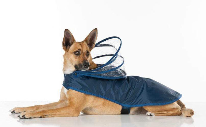 Navy Blue Raincoat for Dogs All Sizes