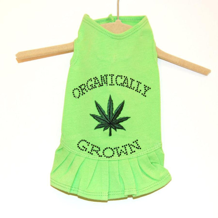 Lime Green Organically Grown Flounce Dog Dress in All Sizes