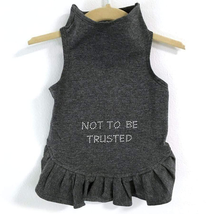 Gray Not be Trusted Flounce Dog Dress in All Sizes