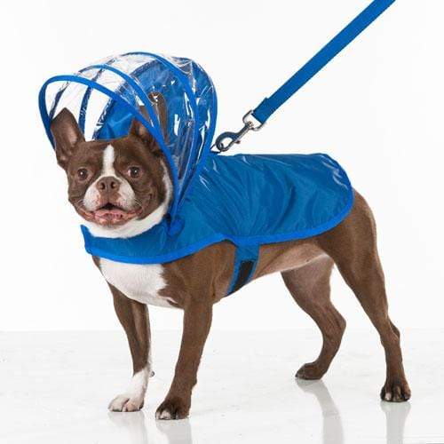 Royal Blue Raincoat for Dogs in All Sizes