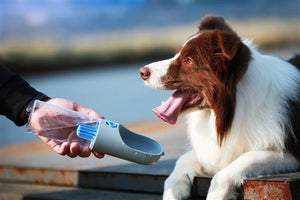 Pet Stop Store Dog & Cat Travel  Water Filter Feeder