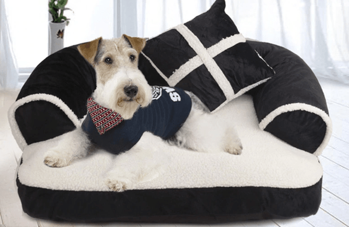 Trendy Black & White Couch Like Dog Bed with Pillow