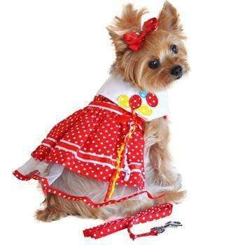 Valentines Day Polka Dot & Lace Red Dog Dress