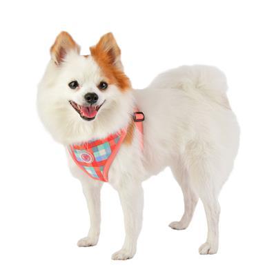 Vivica Dog Harness Pink & Blue