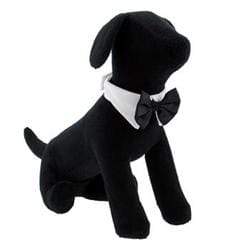 Halloween Black & White Satin Bow tie for Dogs