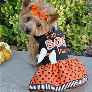Pet Stop Store xs Fab-Boo-Lous Orange & Black Halloween Dog Harness Dress with Leash