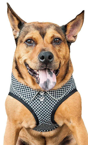 Pet Stop Store xs Checkerwag' Black & White Mesh Reversible Dog Harness