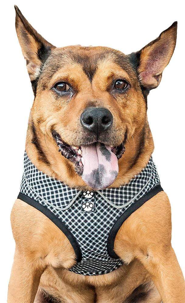 Checkerwag' Black & White Mesh Reversible Dog Harness