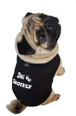 Pet Stop Store xs Big Brother Black Dog Tank All Sizes
