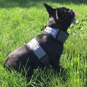 Pet Stop Store xs Cooling Dog Vest & Collar All Sizes