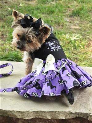 Pet Stop Store xs Halloween Purple & Black Cute To Spook Dog Dress