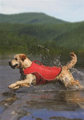 Kurgo Surf n Turf Pet Life Jacket for Dogs