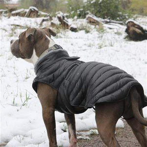 Pet Stop Store xs Modern Black Alpine Extreme Cold Puffer Dog Coat