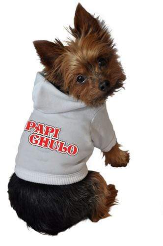 Papi Chulo  Dog Hoodie All Sizes Avail Black & White