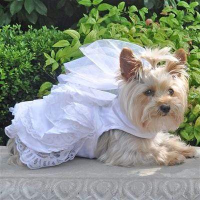 White Satin Wedding Dog Dress, Headpiece, Leash & D-Ring