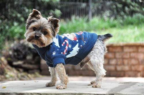 100% Cotton Blue Reindeer Holiday Ugly Dog Sweater