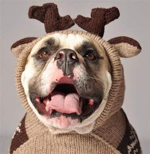 Pet Stop Store xxs Moosey Handmade Holiday Dog Hoodie at Pet Stop Store