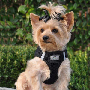 Pet Stop Store xxs American River Choke Free Black Dog Harness