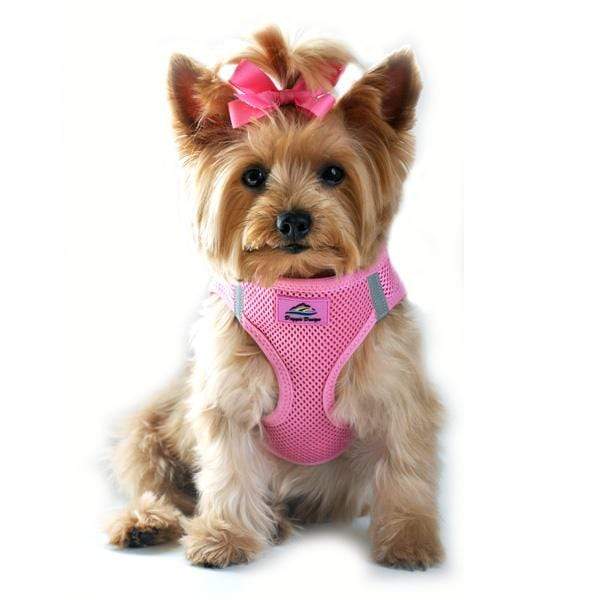American River Choke Free Candy Pink Dog Harness