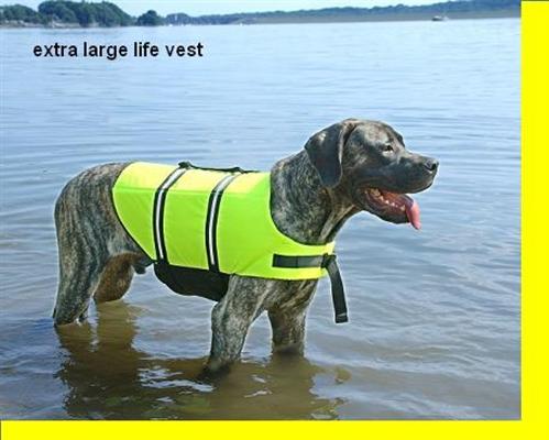 All Paws Aboard Yellow Dog Life Jacket All Sizes