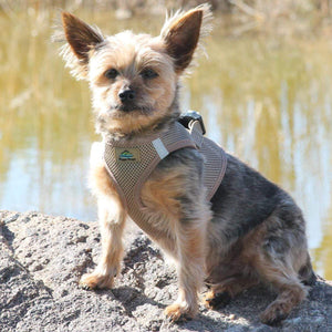 Pet Stop Store xxs American River Choke Free Fossil Brown Dog Harness