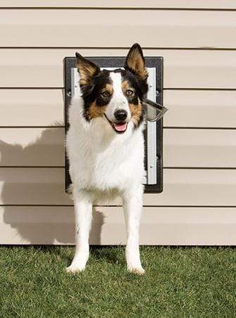 Petsafe Wall Dog Door - Medium